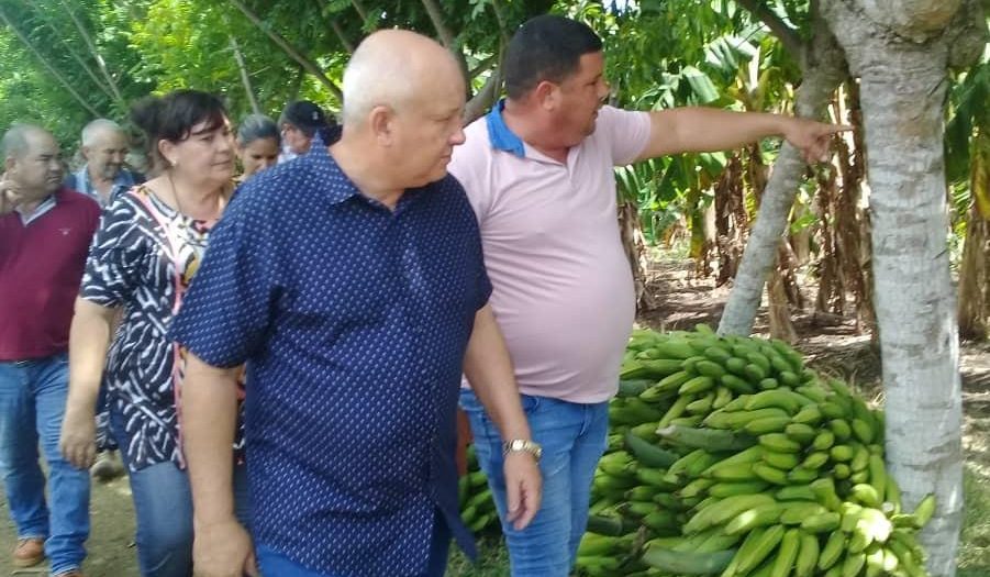 sancti spiritus, produccion de alimentos, agricultura sancti spiritus, jorge luis tapia