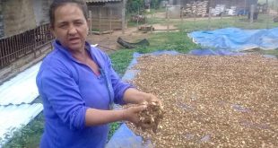 sancti spiritus, fmc, federacion de mujeres cubana, produccion de alimentos