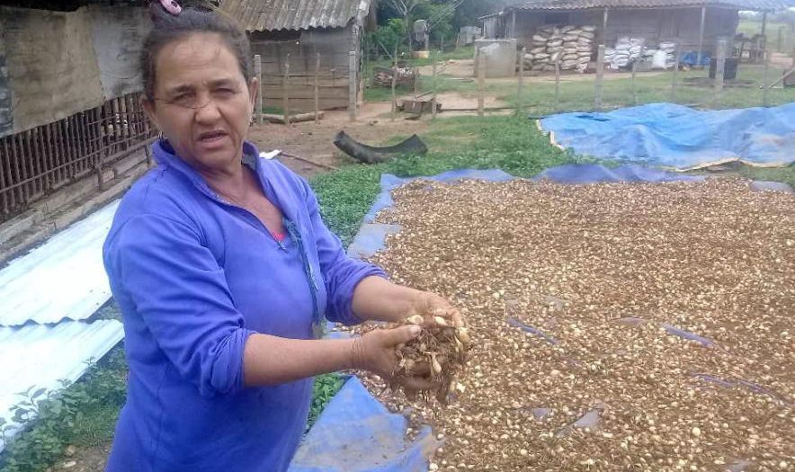 sancti spiritus, fmc, federacion de mujeres cubana, produccion de alimentos