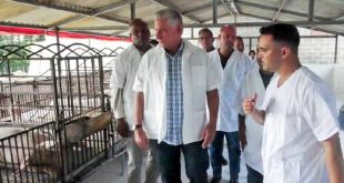 villa clara, miguel diaz-canel, desarrollo local, produccion de alimentos