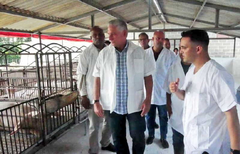 villa clara, miguel diaz-canel, desarrollo local, produccion de alimentos