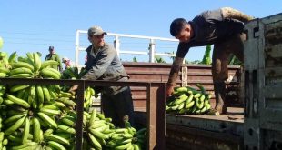 cuba, matanzas, explosion, incendio, petroleo, energia y minas, sancti spiritus, alimentos, donacion