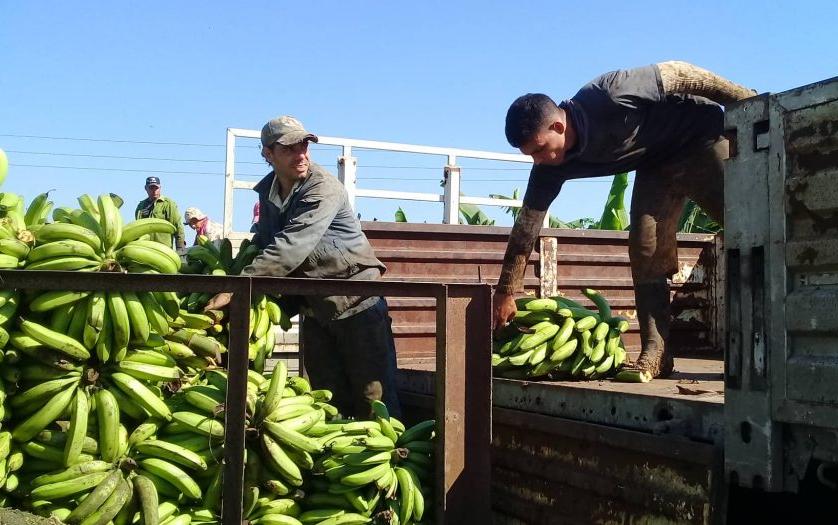 cuba, matanzas, explosion, incendio, petroleo, energia y minas, sancti spiritus, alimentos, donacion