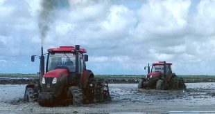 sancti spiritus, la sierpe, cambio climatico, citma, medio ambiente, empresa agroindustrial de granos sur del jibaro, arroz