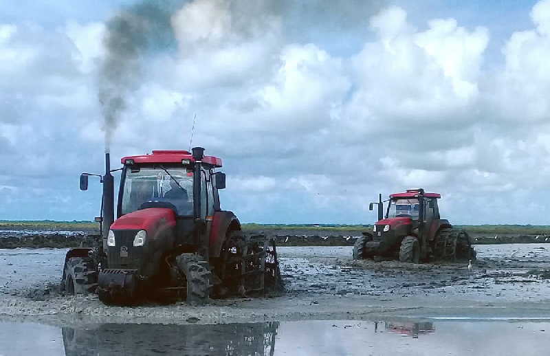 sancti spiritus, la sierpe, cambio climatico, citma, medio ambiente, empresa agroindustrial de granos sur del jibaro, arroz