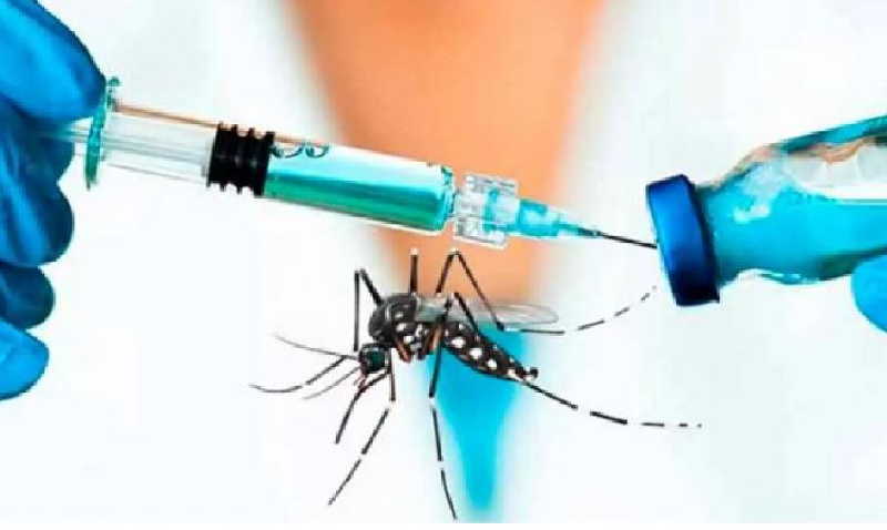 cuba, dengue, aedes agipty, salud publica