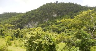 áreas protegidas, citma, medio ambiente