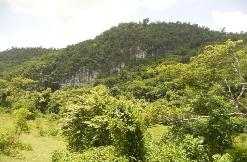 áreas protegidas, citma, medio ambiente