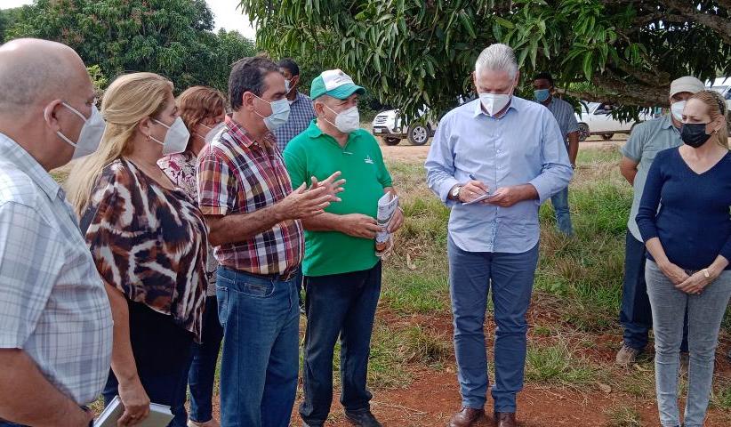 sancti spiritus, produccion de alimentos, yaguajay, desarrollo local, valle del caonao, agricultura sancti spiritus