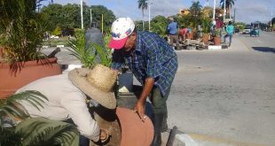 sancti spiritus, servicios comunales, plantas ornamentales