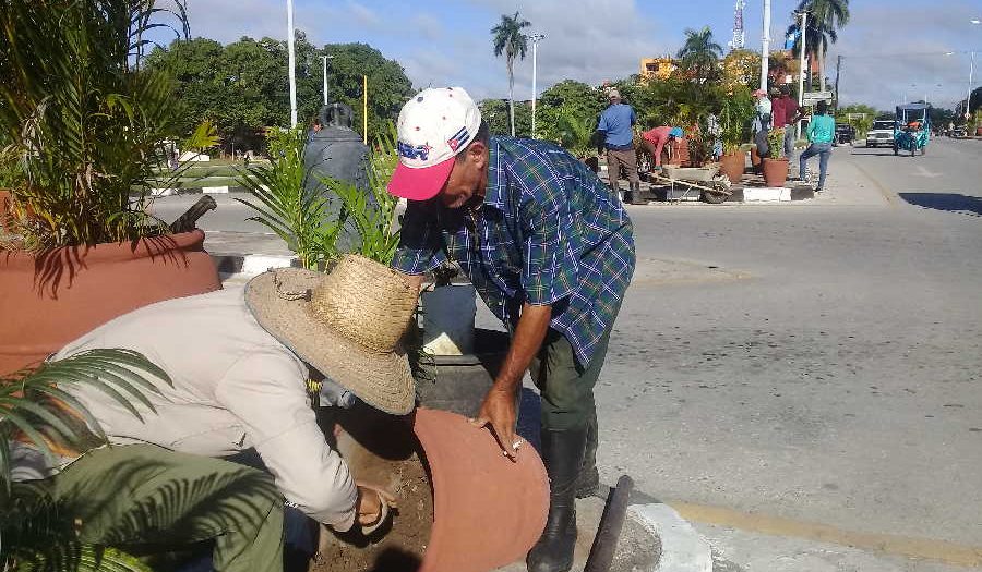 sancti spiritus, servicios comunales, plantas ornamentales