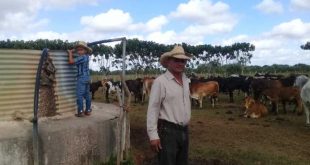 la sierpe, ganaderia, produccion de alimentos