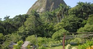 fomento, turismo de naturaleza, lomas de fomento, flora y fauna