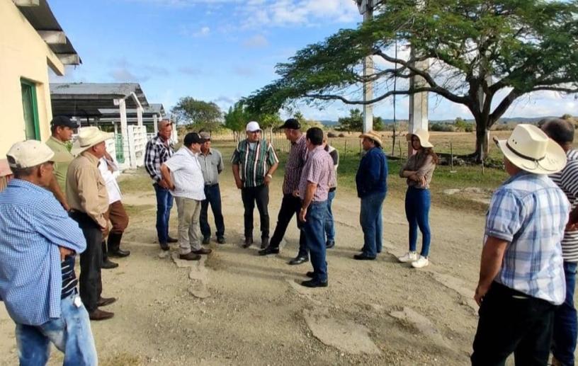 sancti spiritus, empresa pecuaria venegas, yaguajay, agricultura sancti spiritus, produccion de alimentos