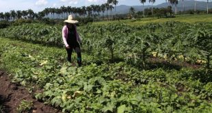 sancti spiritus, programa para adelanto fr la mujeres, mujeres, economia espirituana