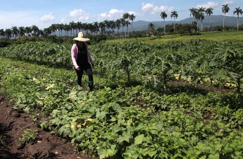 sancti spiritus, programa para adelanto fr la mujeres, mujeres, economia espirituana