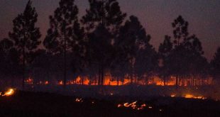 holguin, incendio forestales, bomberos, guardabosques