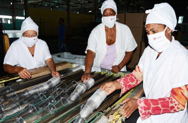 sancti spiritus, economia espirituana, producciones plasticas escambray, el pedrero