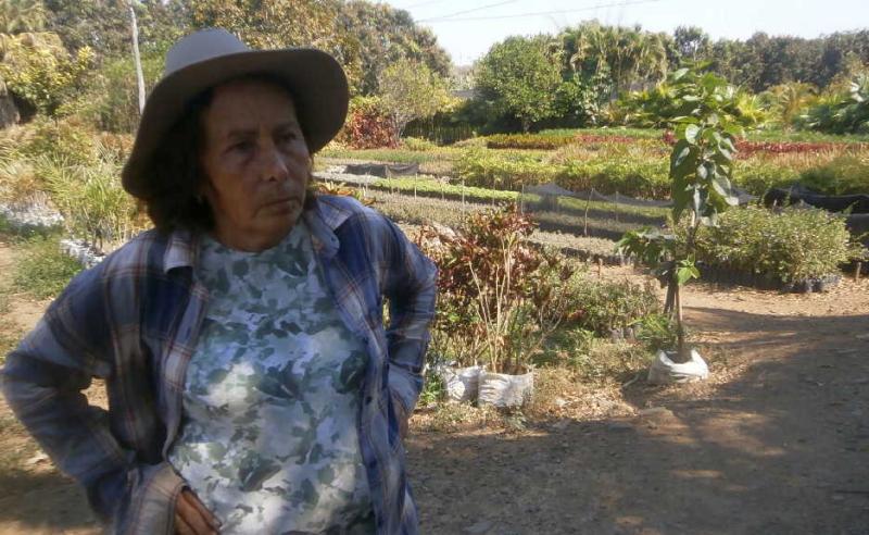 fomento, 8 de marzo, dia internacional de la mujer, fmc plantas ornamentales