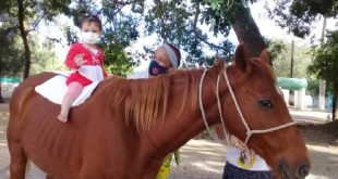 sancti spiritus, equinoterapia, empresa flora y fauna, salud