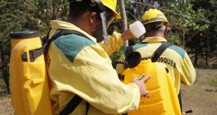 sancti spiritus, guardabosques, incendios forestales