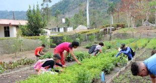 fomento, educacion sancti spiritus