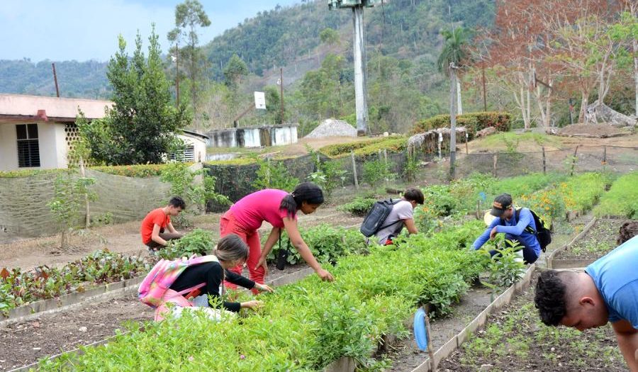 fomento, educacion sancti spiritus