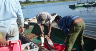 sancti spiritus, empresa pesquera sancti spiritus, acuicultura, pesca, presa zaza