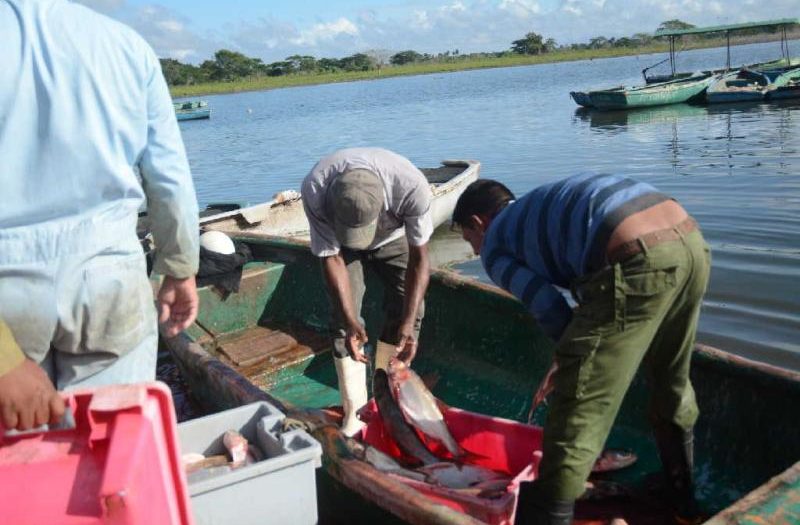 sancti spiritus, empresa pesquera sancti spiritus, acuicultura, pesca, presa zaza