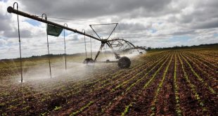 sancti spiritus, seguridad alimentaria, produccion de alimentos, union europea, cooperacion