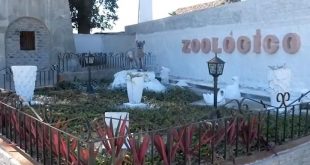 sancti spiritus, parque zoologico, zoologico, leones