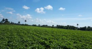 cambio climatico, altas temperaturas, calor