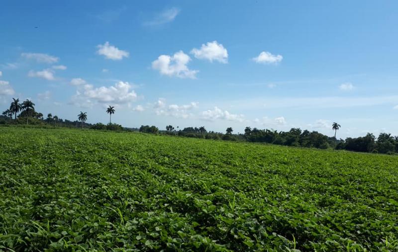 cambio climatico, altas temperaturas, calor