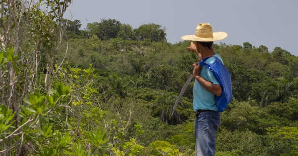 yaguajay, medio ambiente, flora y fauna, llanadas arriba