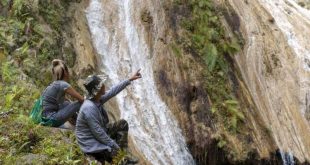 sancti spiritus, lomas de banao, dia mundial del medio ambiente, naturaleza, flora y fauna