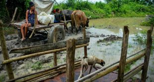 cuba, gobierno cubano, subsidios, intensas lluvias, oriente cubano, construccion de viviendas