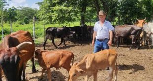 yaguajay, yaguajay en 26, ganaderia, empresa agropecuaria obdulio morales