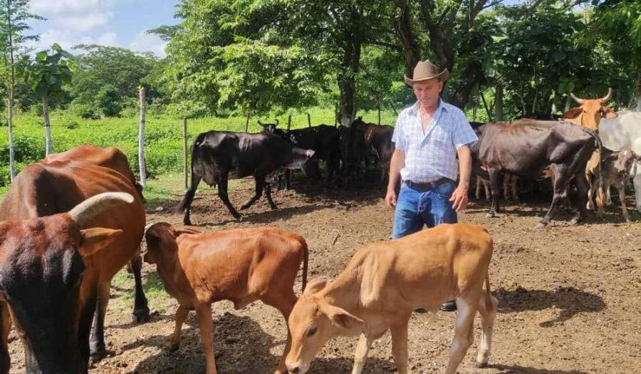 yaguajay, yaguajay en 26, ganaderia, empresa agropecuaria obdulio morales