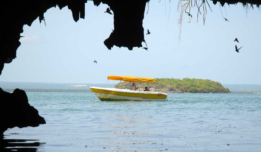 yaguajay, parque nacional caguanes, flora y fauna