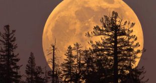 July 3rd is the day of the supermoon and will be the day of the deer – Escambray