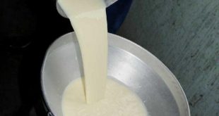 sancti spiritus, acopio de leche, ganaderia