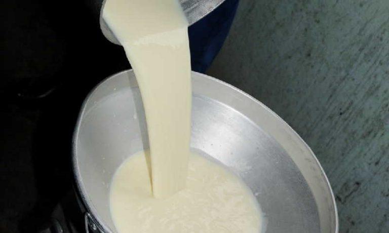 sancti spiritus, acopio de leche, ganaderia