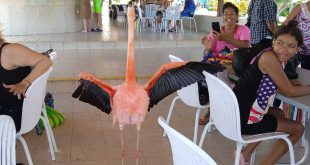 sancti spiritus, san jose del lago, turismo, mayajigua