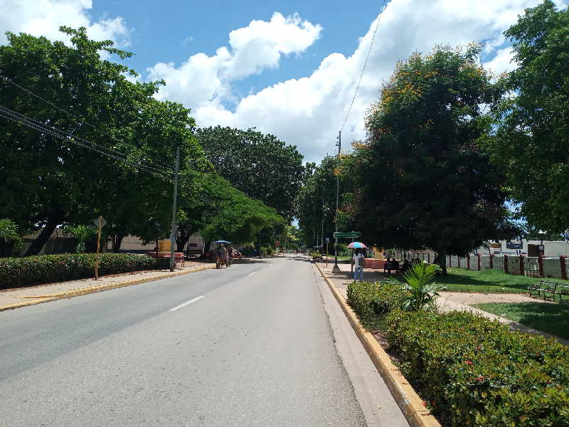 La Alameda de Concha es el único paseo en la vía pública con árboles de copa frondosa.